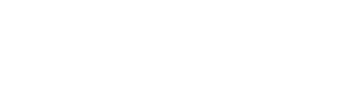 Festo