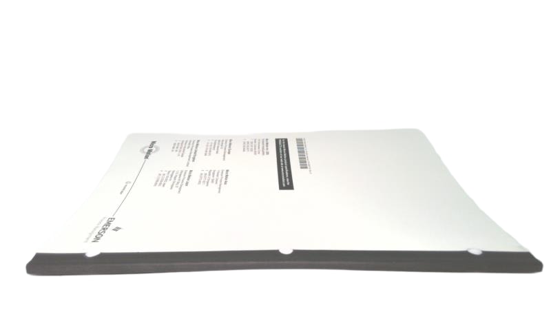 40021673 EMERSON 20001700