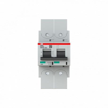 ABB2CCG001300R0001 2CCG001300R0001 ABB Int. aut. S802P-D125-R 2p 125A D 50kA
